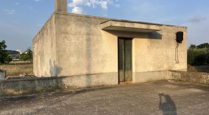 Casa indipendente 3 locali di 88 m² in Cisternino (72014)