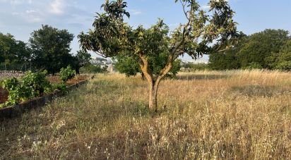 Casa indipendente 3 locali di 88 m² in Cisternino (72014)