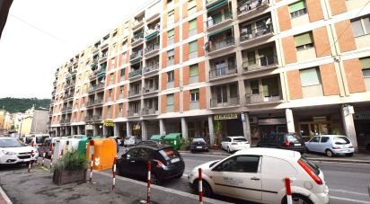 Varie superfici di 1.702 m² in Genova (16138)