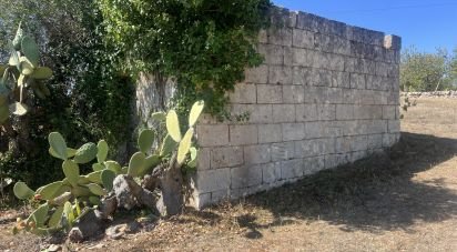 Rustico 1 locale di 15 m² in Cisternino (72014)