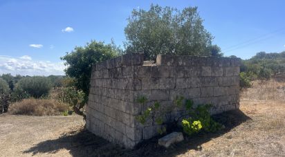 Rustico 1 locale di 15 m² in Cisternino (72014)