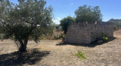 Rustico 1 locale di 15 m² in Cisternino (72014)