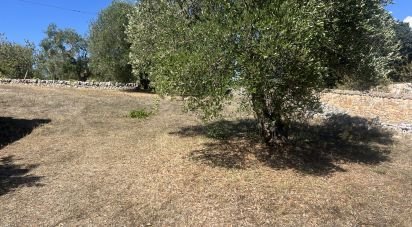 Rustico 1 locale di 15 m² in Cisternino (72014)