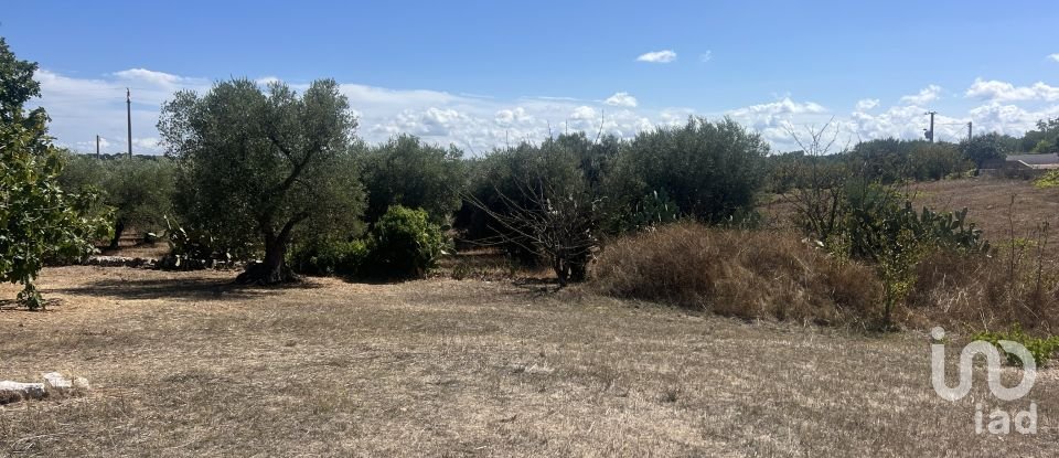 Rustico 1 locale di 15 m² in Cisternino (72014)