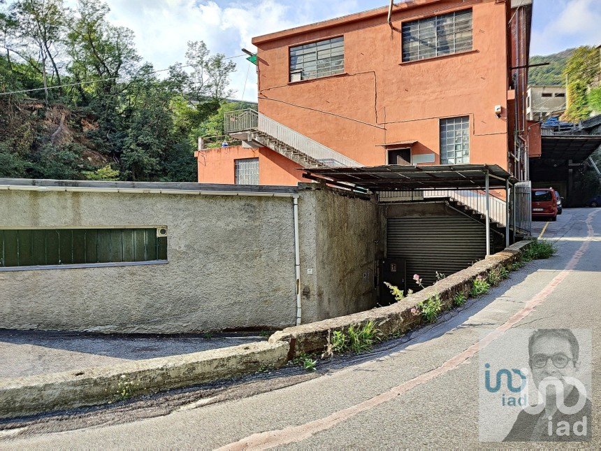 Varie superfici di 3.619 m² in Mele (16010)