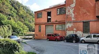 Varie superfici di 3.619 m² in Mele (16010)