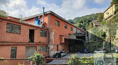 Varie superfici di 3.619 m² in Mele (16010)