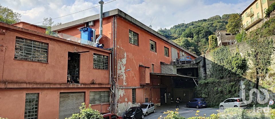 Varie superfici di 3.619 m² in Mele (16010)