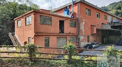 Varie superfici di 3.619 m² in Mele (16010)