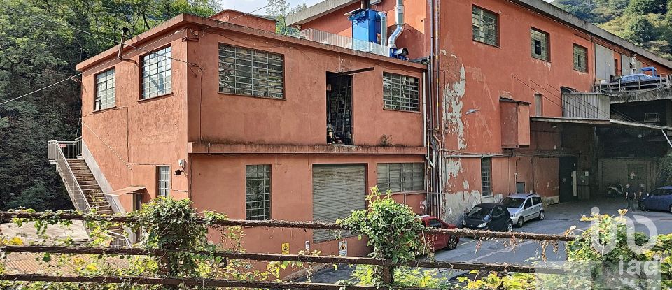 Varie superfici di 3.619 m² in Mele (16010)