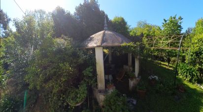 Casale 15 locali di 310 m² in Genova (16162)