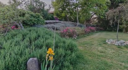 Casale 11 locali di 320 m² in Sutri (01015)