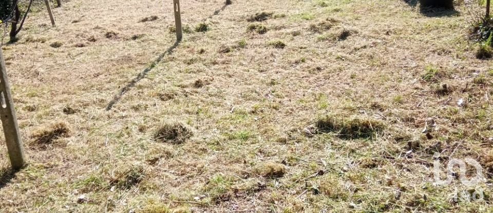 Casa indipendente 10 locali di 123 m² in Genova (16165)