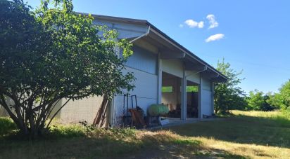 Casa indipendente 7 locali di 330 m² in Melazzo (15010)