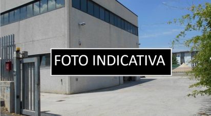 Negozio / locale commerciale di 400 m² in Olbia (07026)