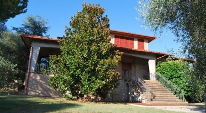 Townhouse 16 rooms of 320 m² in Corinaldo (60013)