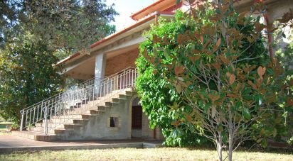 Townhouse 16 rooms of 320 m² in Corinaldo (60013)