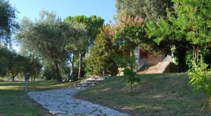 Townhouse 16 rooms of 320 m² in Corinaldo (60013)