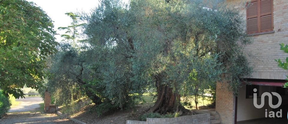 Casa indipendente 16 locali di 320 m² in Corinaldo (60013)