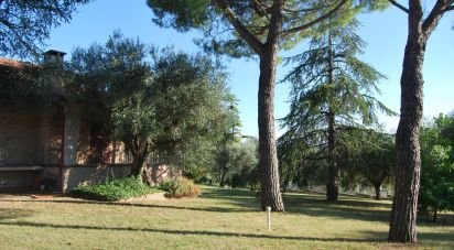 Townhouse 16 rooms of 320 m² in Corinaldo (60013)