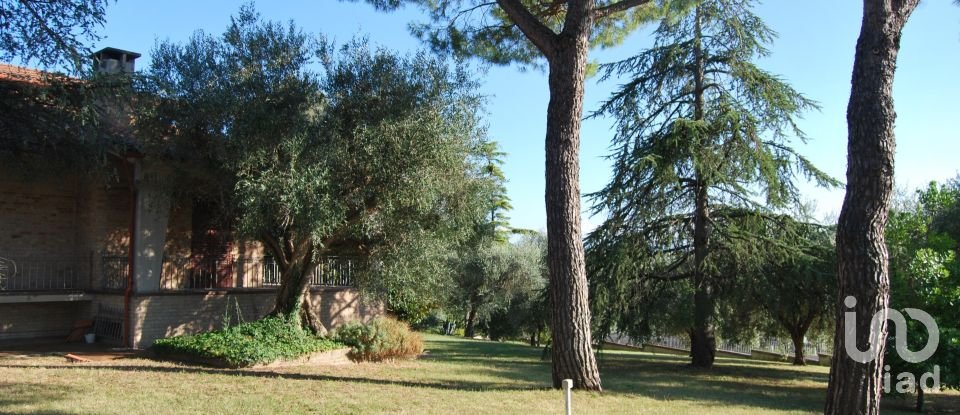 Casa indipendente 16 locali di 320 m² in Corinaldo (60013)