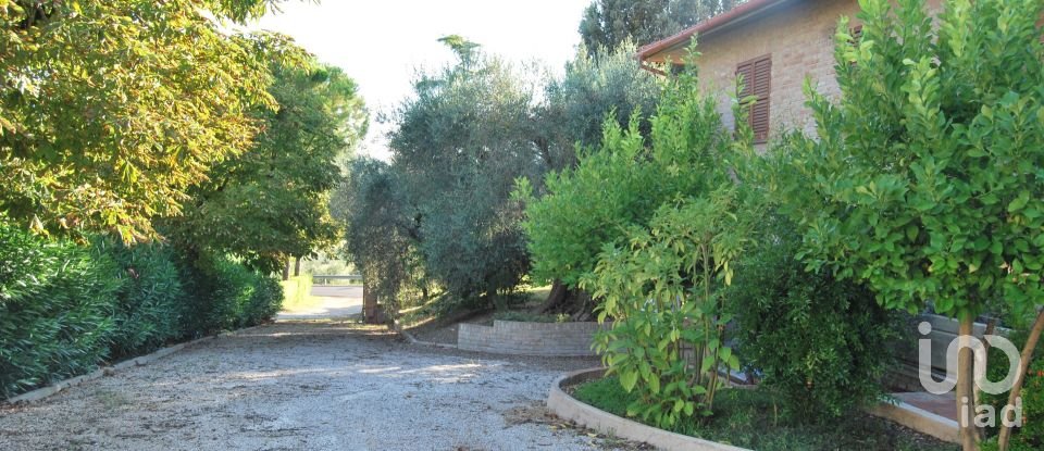 Casa indipendente 16 locali di 320 m² in Corinaldo (60013)