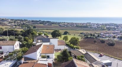 Varie superfici di 597 m² in Numana (60026)