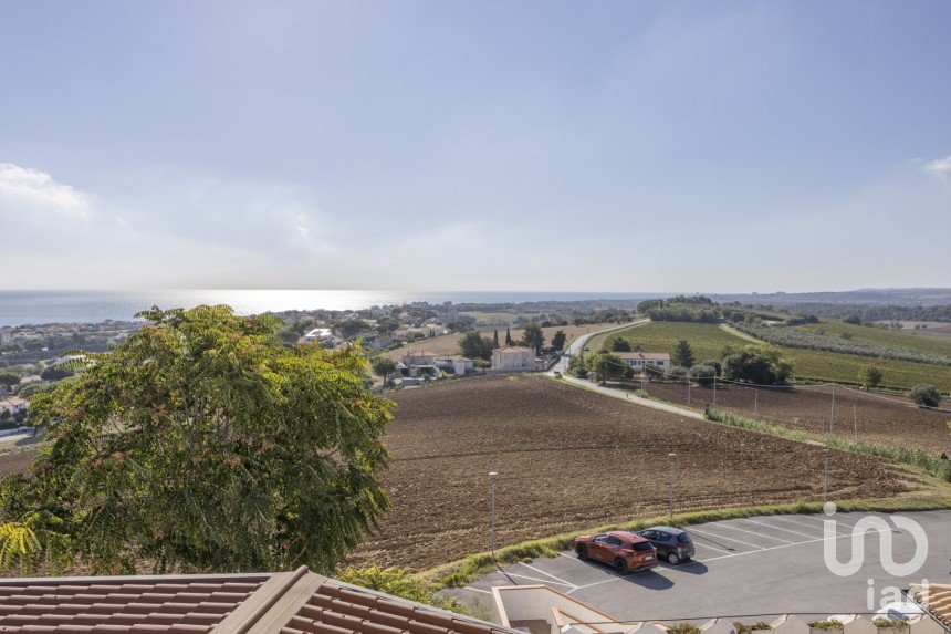 Varie superfici di 597 m² in Numana (60026)