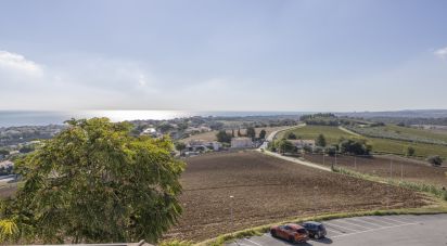 Varie superfici di 597 m² in Numana (60026)