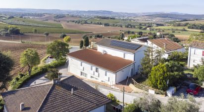 Varie superfici di 597 m² in Numana (60026)