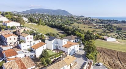 Varie superfici di 597 m² in Numana (60026)