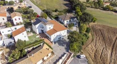 Varie superfici di 597 m² in Numana (60026)