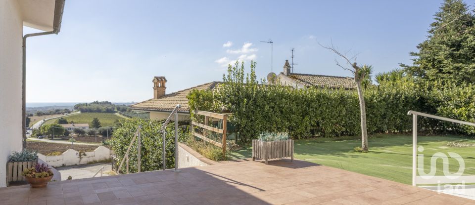 Varie superfici di 597 m² in Numana (60026)