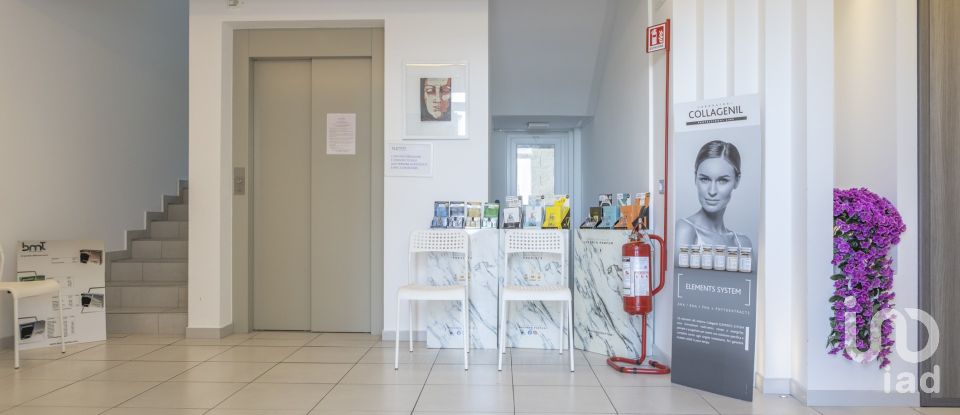 Varie superfici di 597 m² in Numana (60026)