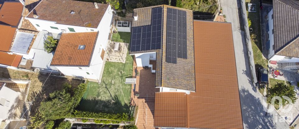 Varie superfici di 597 m² in Numana (60026)