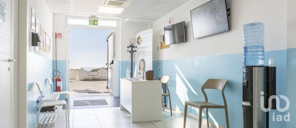 Varie superfici di 597 m² in Numana (60026)