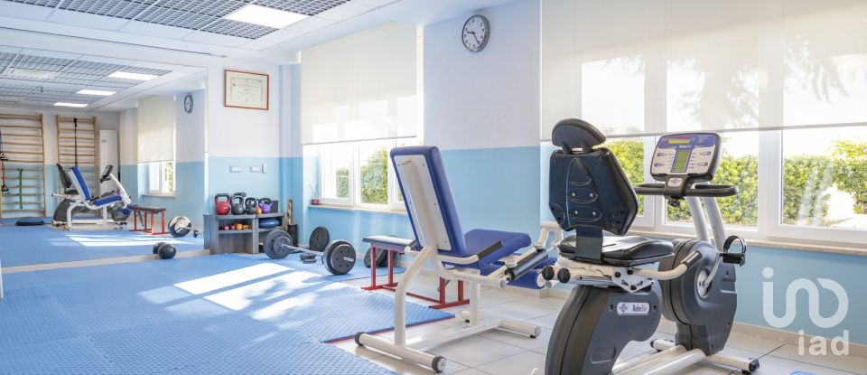 Varie superfici di 597 m² in Numana (60026)