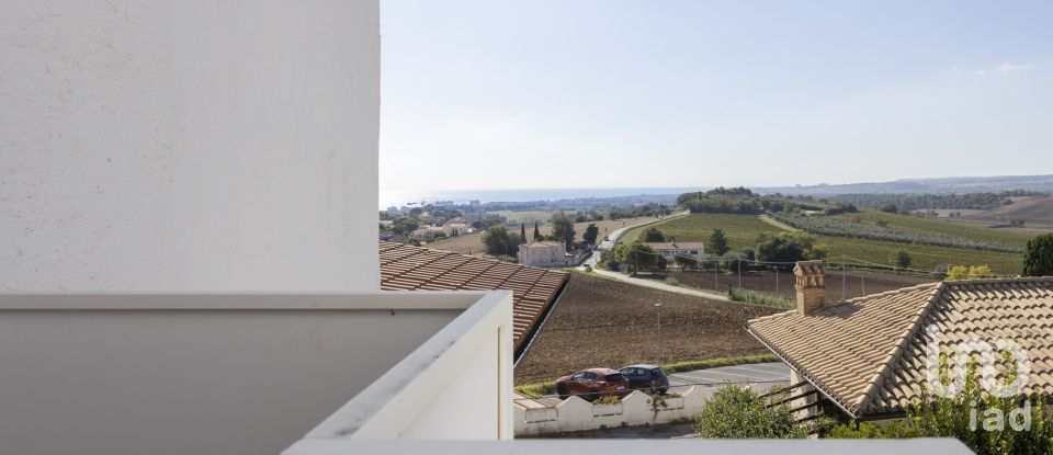 Varie superfici di 597 m² in Numana (60026)