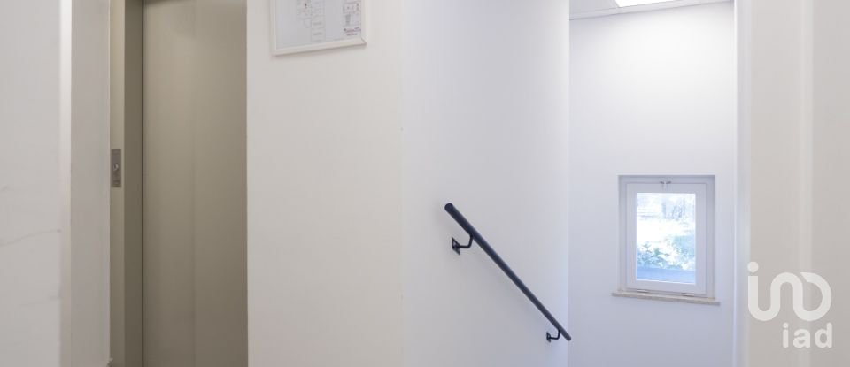 Varie superfici di 597 m² in Numana (60026)