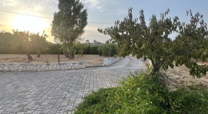 Trullo 6 locali di 150 m² in Locorotondo (70010)