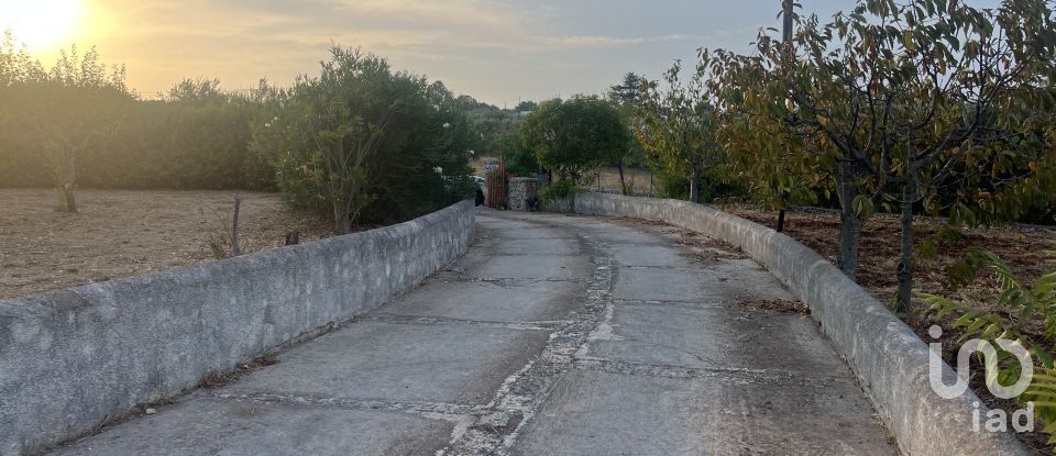 Horses property 6 rooms of 150 m² in Locorotondo (70010)