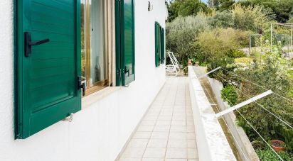 Casale 8 locali di 200 m² in Cisternino (72014)