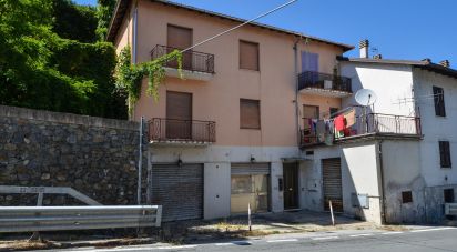 Casa indipendente / Villa 7 locali di 200 m² in Roccavignale (17017)