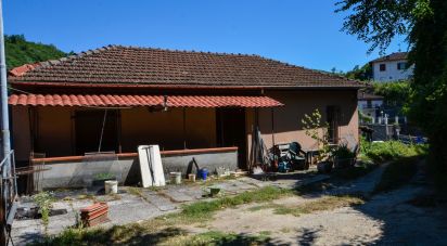 Casa indipendente / Villa 7 locali di 200 m² in Roccavignale (17017)