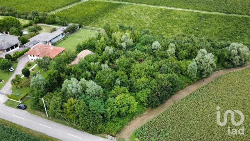 Terreno di 5.460 m² in Pramaggiore (30020)