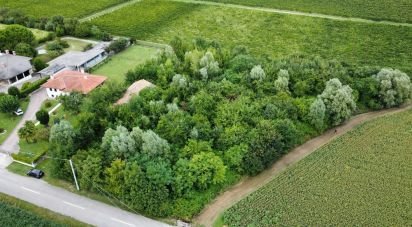 Terreno di 5.460 m² in Pramaggiore (30020)
