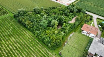 Terreno di 5.460 m² in Pramaggiore (30020)
