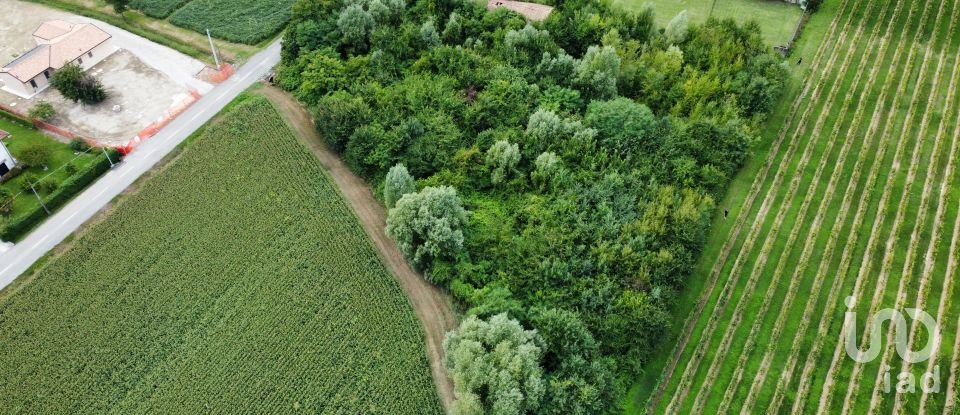 Terreno di 5.460 m² in Pramaggiore (30020)