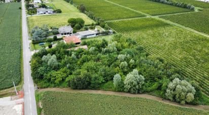 Terreno di 5.460 m² in Pramaggiore (30020)