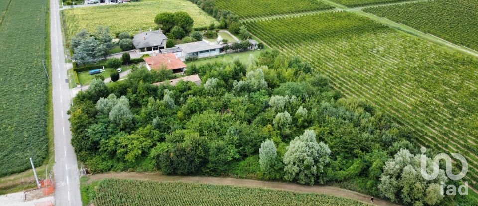 Terreno di 5.460 m² in Pramaggiore (30020)